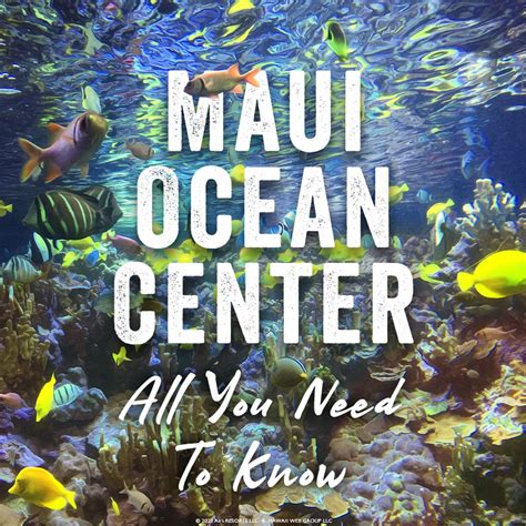 maui ocean center shops